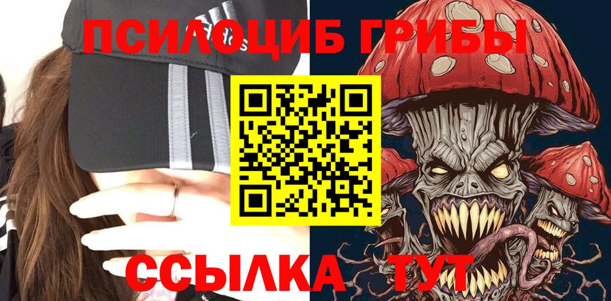 Чита  Псилоцибиновые грибы мухоморы  Вход с VPN 
