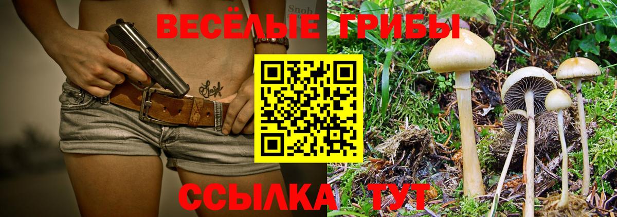 Псилоцибиновые грибы GOLDEN TEACHER Чита